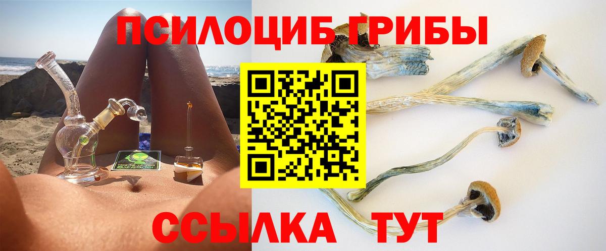 Галлюциногенные грибы GOLDEN TEACHER  Вход с VPN  Псилоцибиновые грибы Psilocybine cubensis  Кстово 