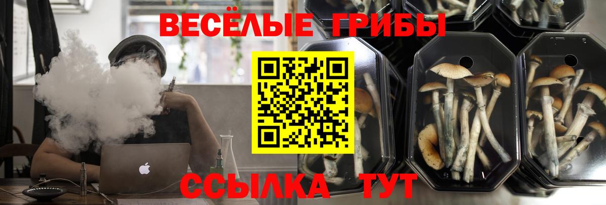 Галлюциногенные грибы ЛСД Кстово